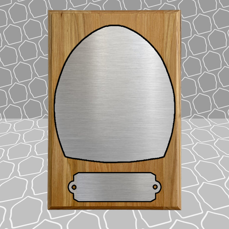 Helmet Shield Award Plaque (6x9)