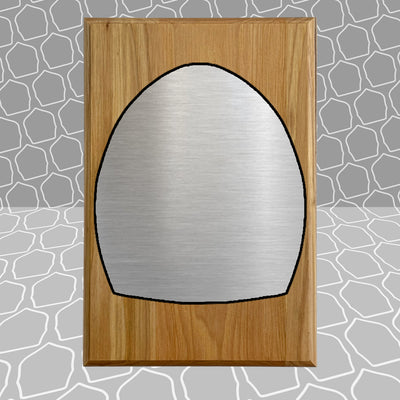 Helmet Shield Award Plaque (6x9)