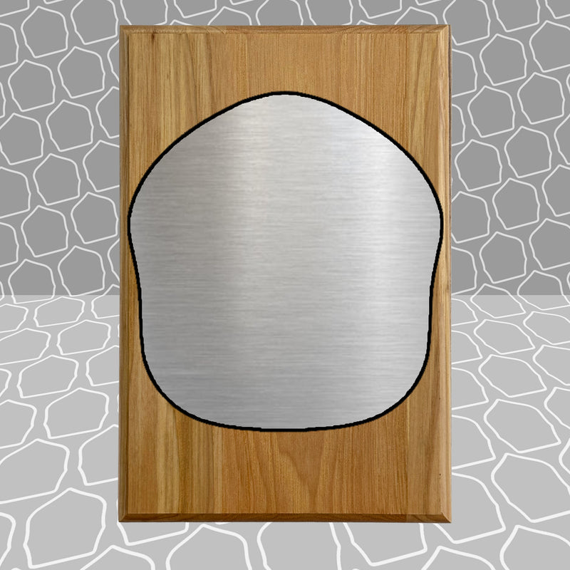 Helmet Shield Award Plaque (6x9)