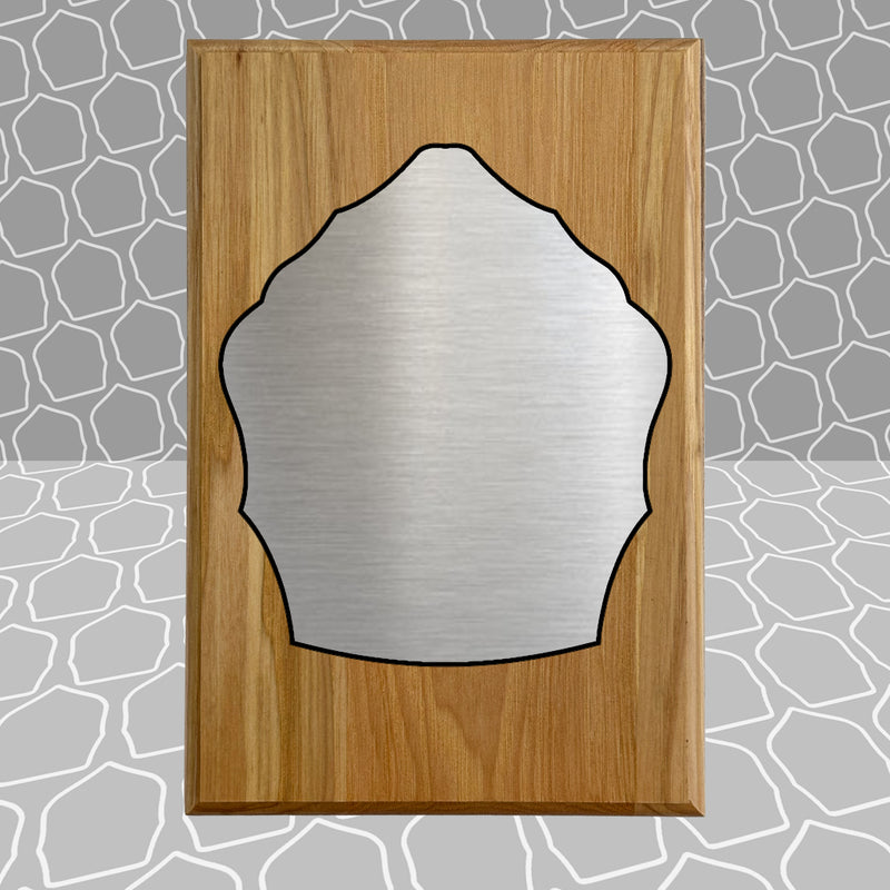 Helmet Shield Award Plaque (6x9)