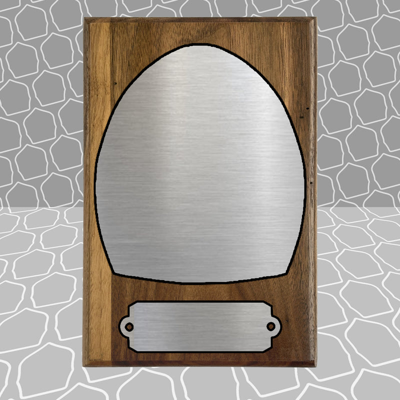 Helmet Shield Award Plaque (6x9)