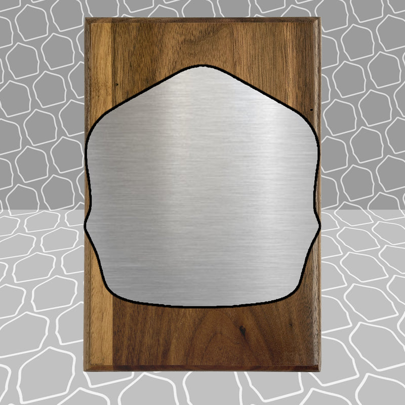 Helmet Shield Award Plaque (6x9)