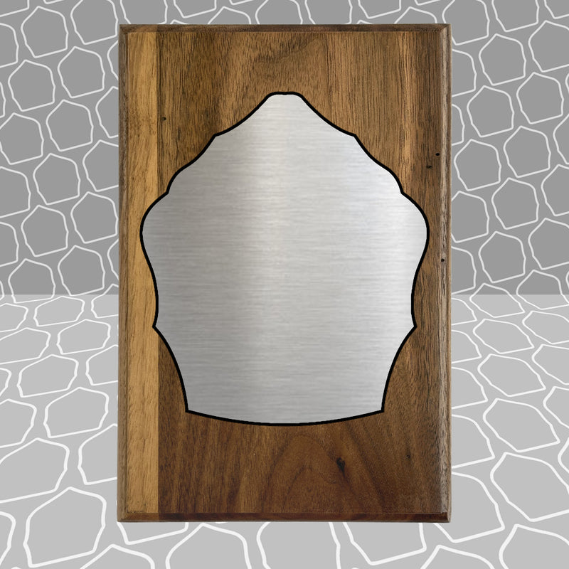 Helmet Shield Award Plaque (6x9)